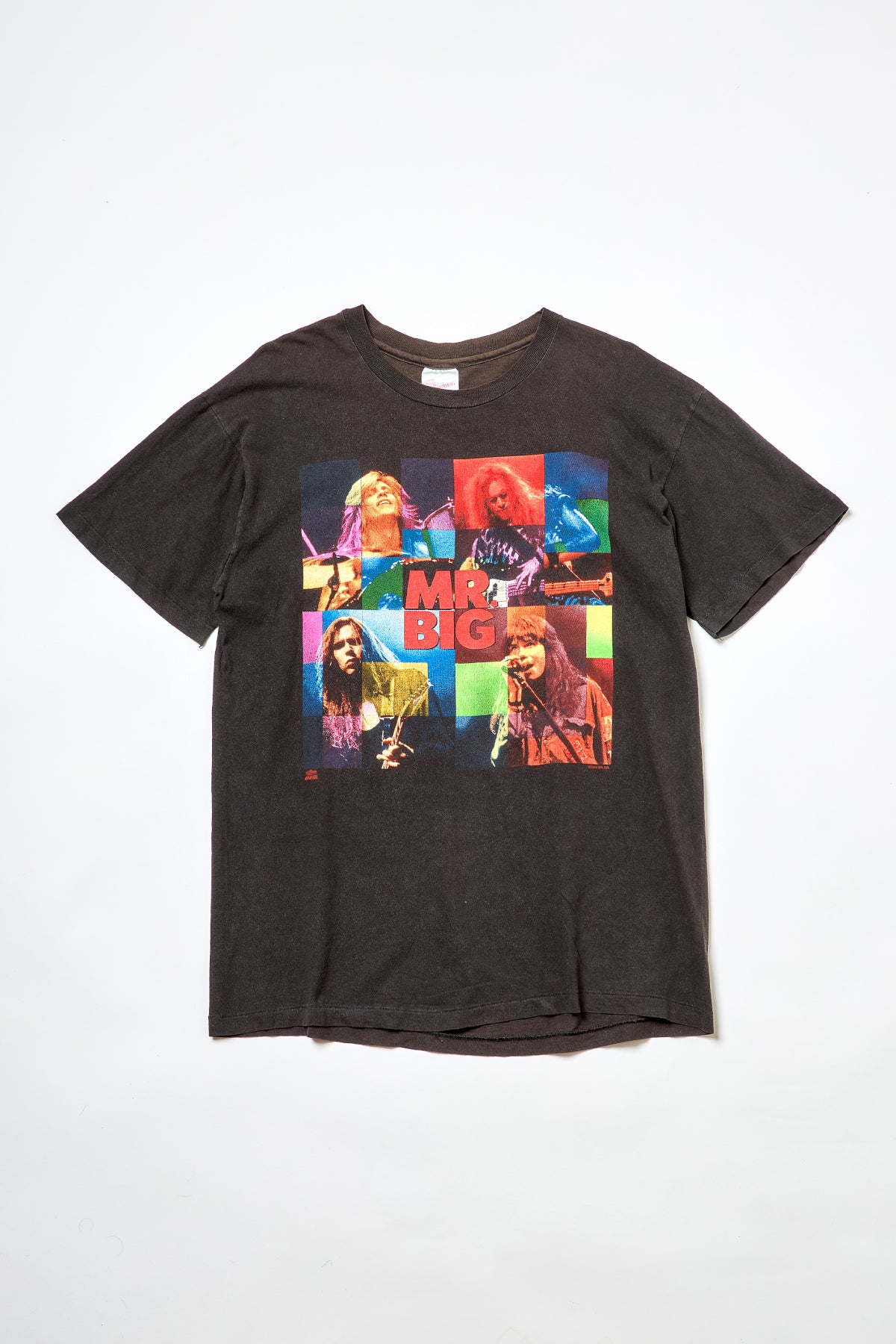 MR.BIG / JAPANDEMONIUM TOUR 1994 TEE SHIRTS （90s）