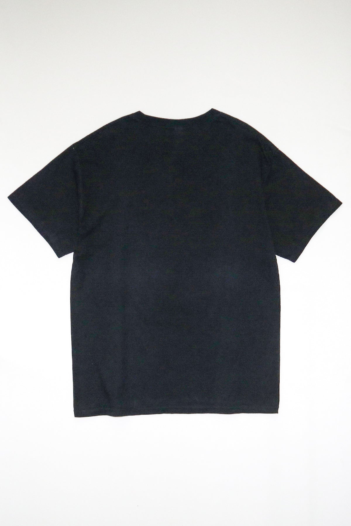 ALICE IN CHAINS / JAR OF FILES TEE SHIRTS（00s）