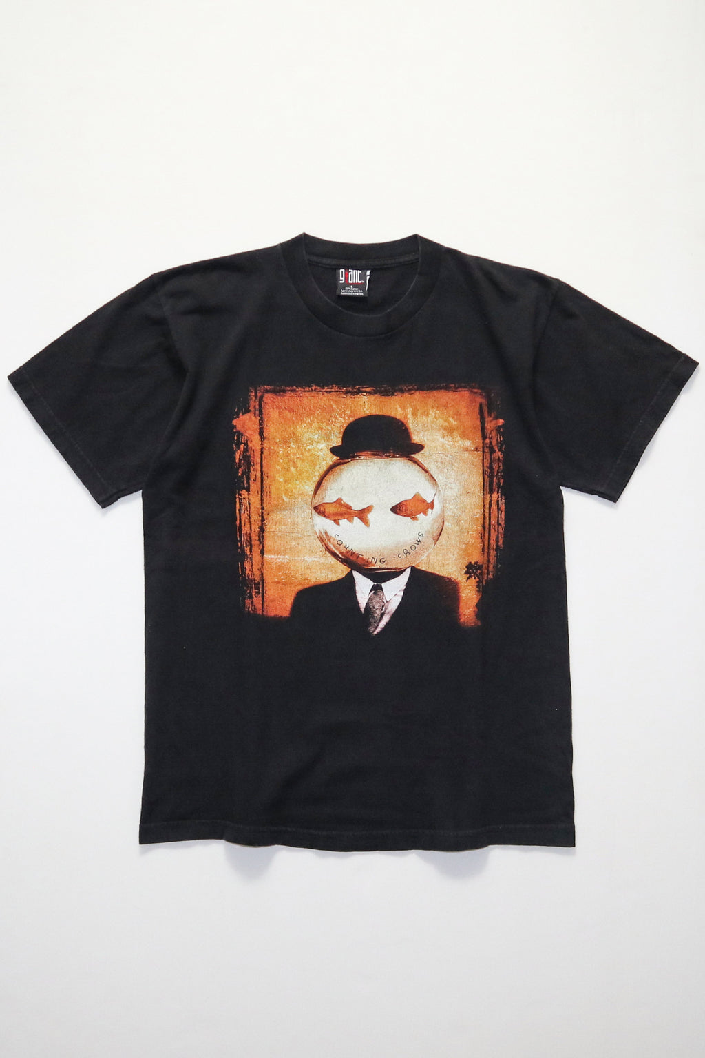 COUNTING CROWS / THIS DESERT LIFE TOUR TEE SHIRTS（90s）