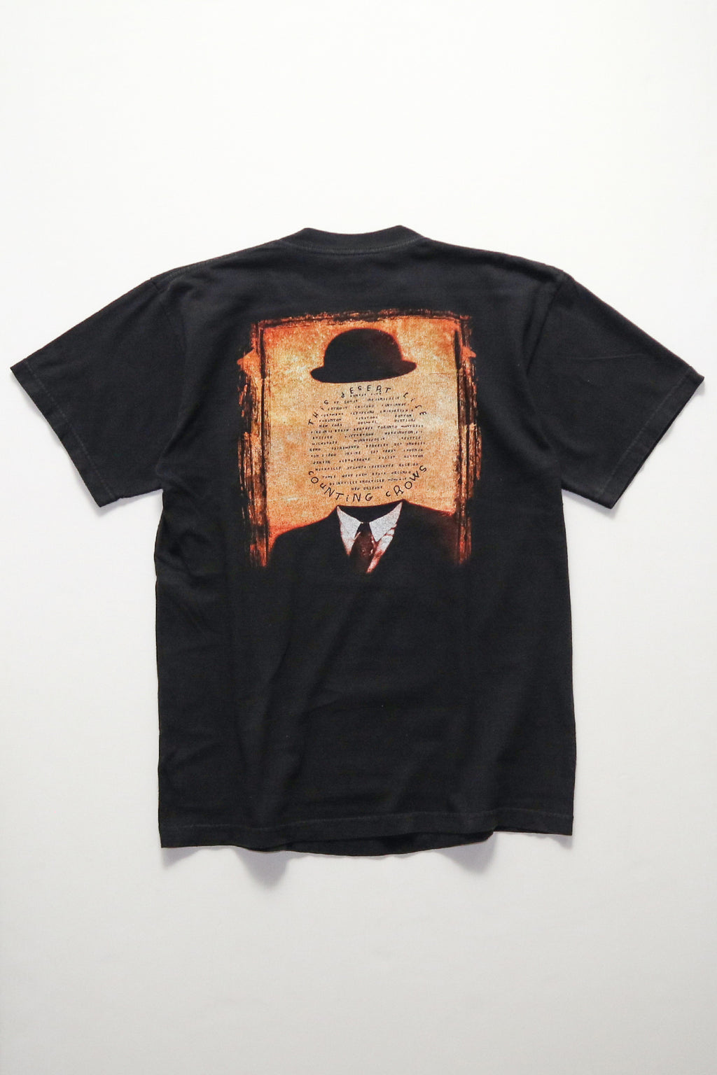 COUNTING CROWS / THIS DESERT LIFE TOUR TEE SHIRTS（90s）