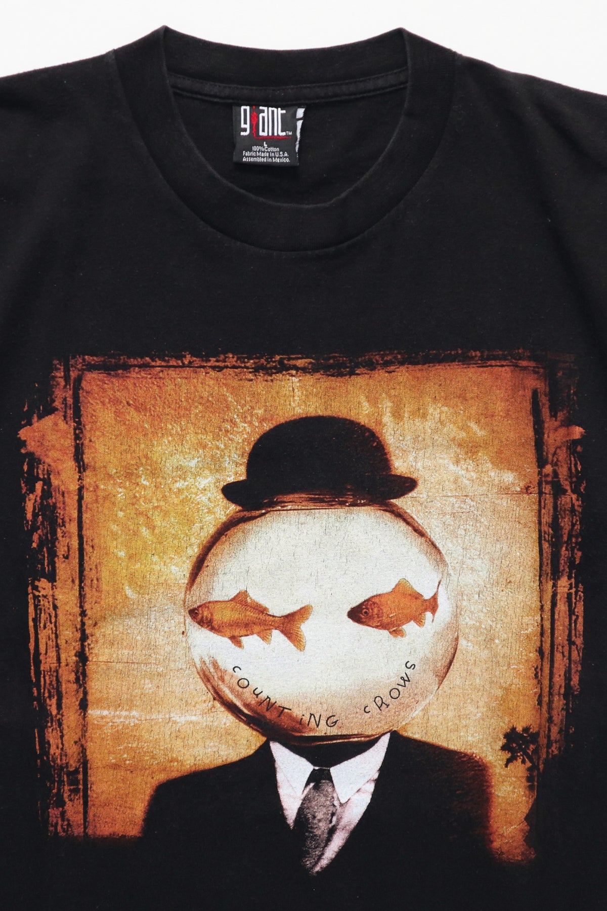 COUNTING CROWS / THIS DESERT LIFE TOUR TEE SHIRTS（90s）