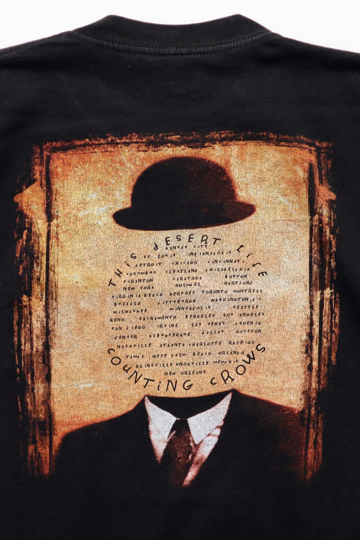 COUNTING CROWS / THIS DESERT LIFE TOUR TEE SHIRTS（90s）