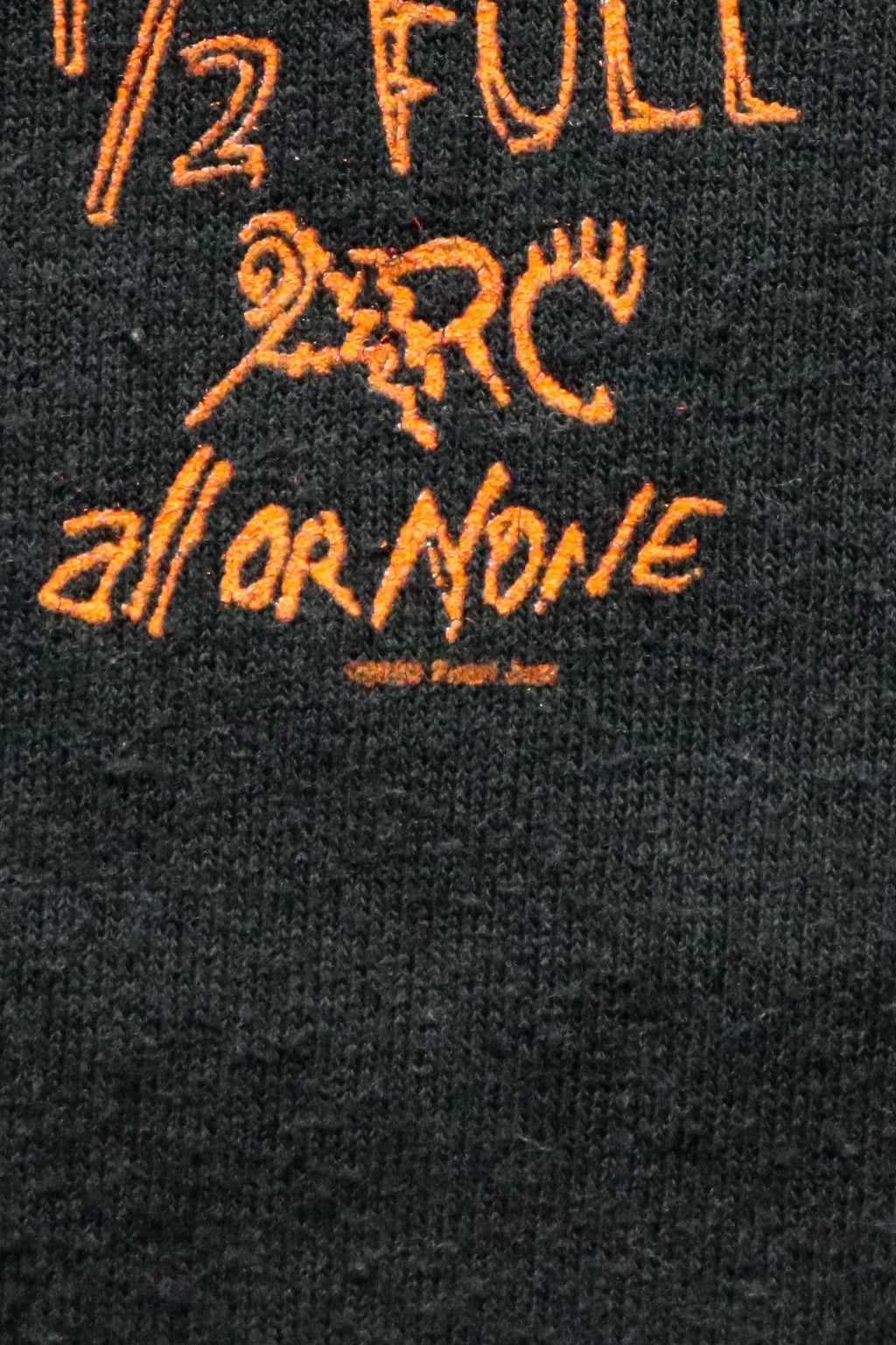 PEARL JAM / RIOT ACT TEE SHIRTS（00s）