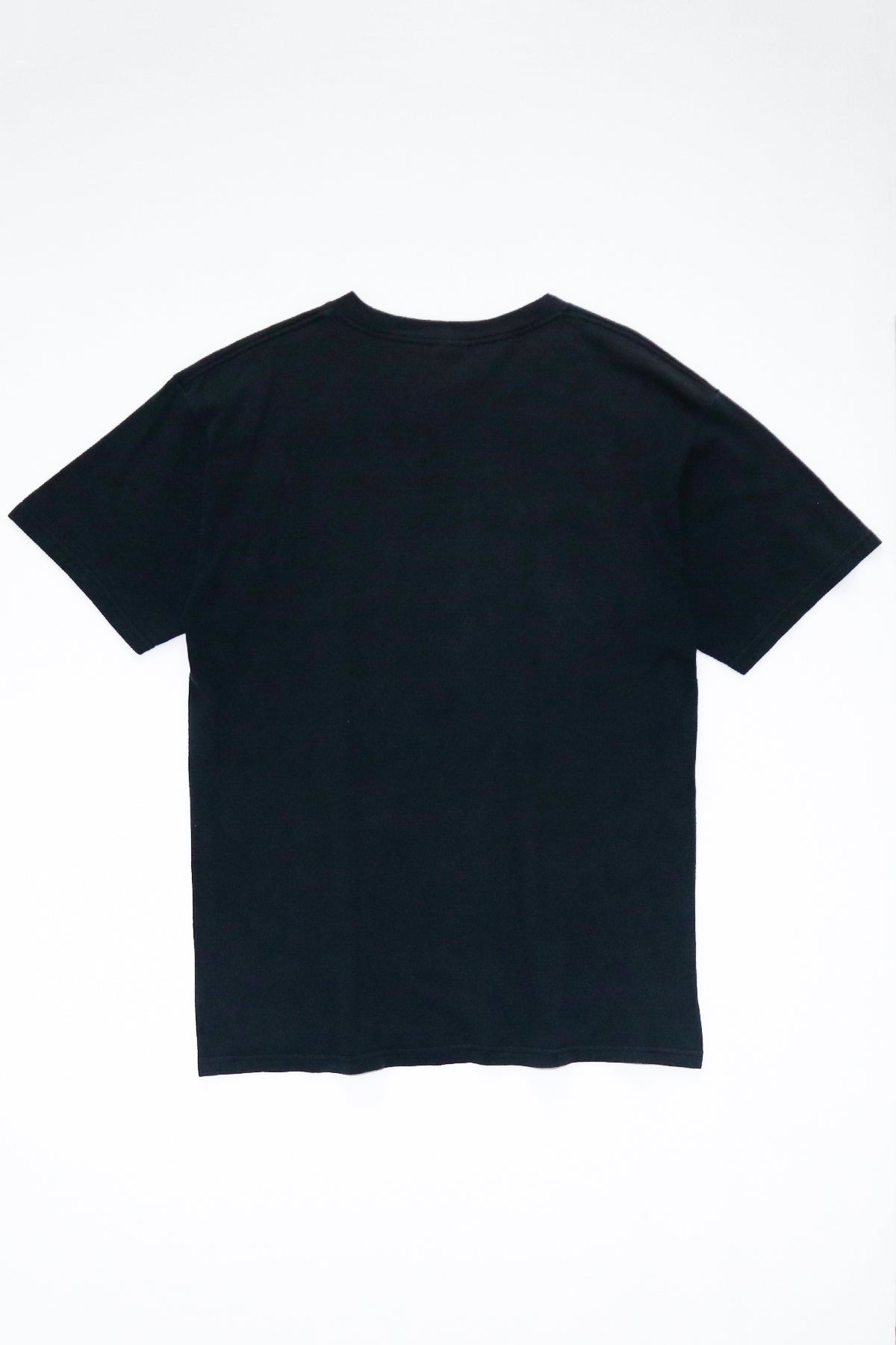 BEASTIE BOYS / CHECK YOUR HEAD TEE SHIRTS（90s）