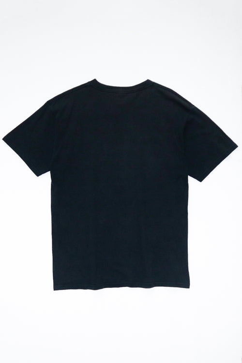 BEASTIE BOYS / CHECK YOUR HEAD TEE SHIRTS（90s）
