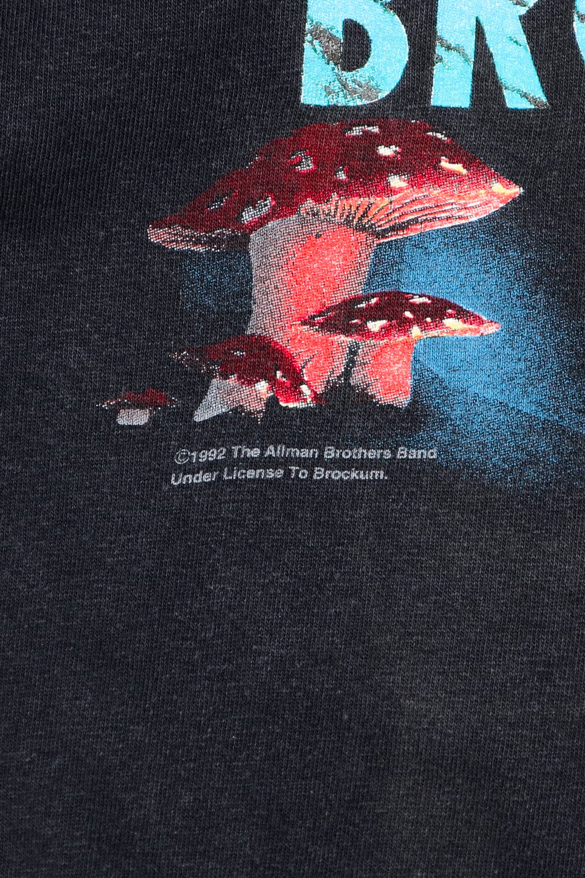 THE ALLMAN BROTHERS BAND / WHERE IT ALL BEGAN TEE SHIRTS（90s）