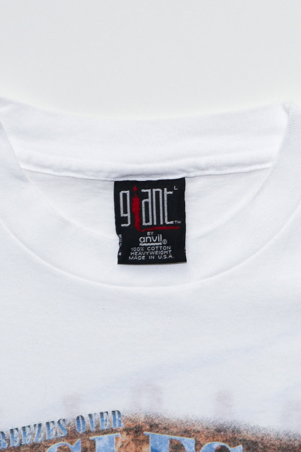 EAGLES / HELL FREEZES OVER WORLD TOUR 1994 PHOTOGRAPH TEE SHIRTS（90s）