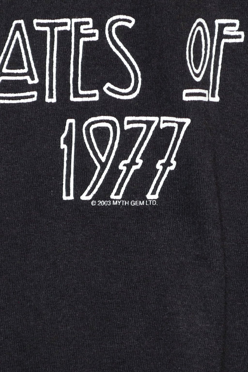LED ZEPPELIN / UNITED STATES OF AMERICA TOUR 1977 TEE SHIRTS（00s）