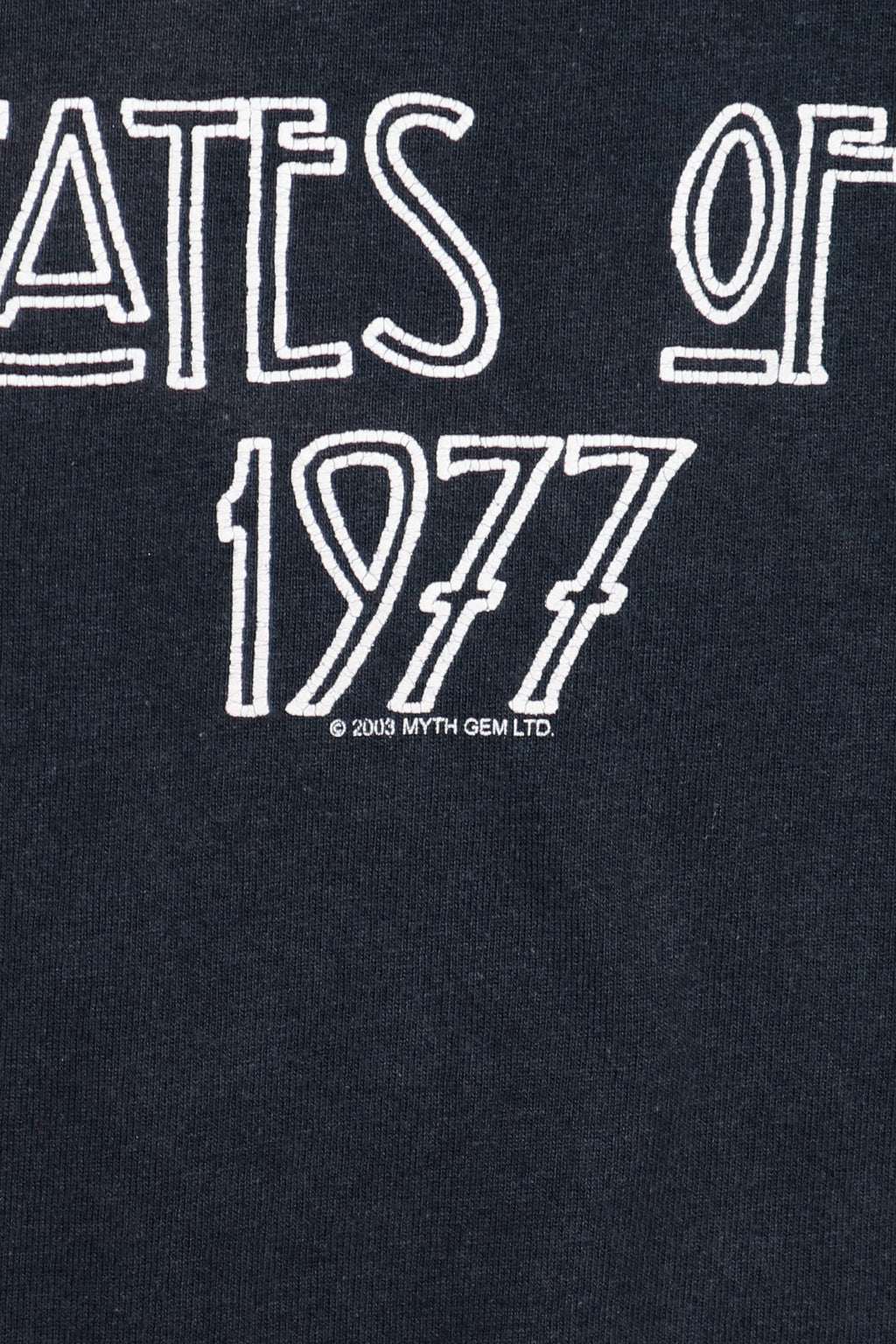 LED ZEPPELIN / UNITED STATES OF AMERICA TOUR 1977 TEE SHIRTS（00s）