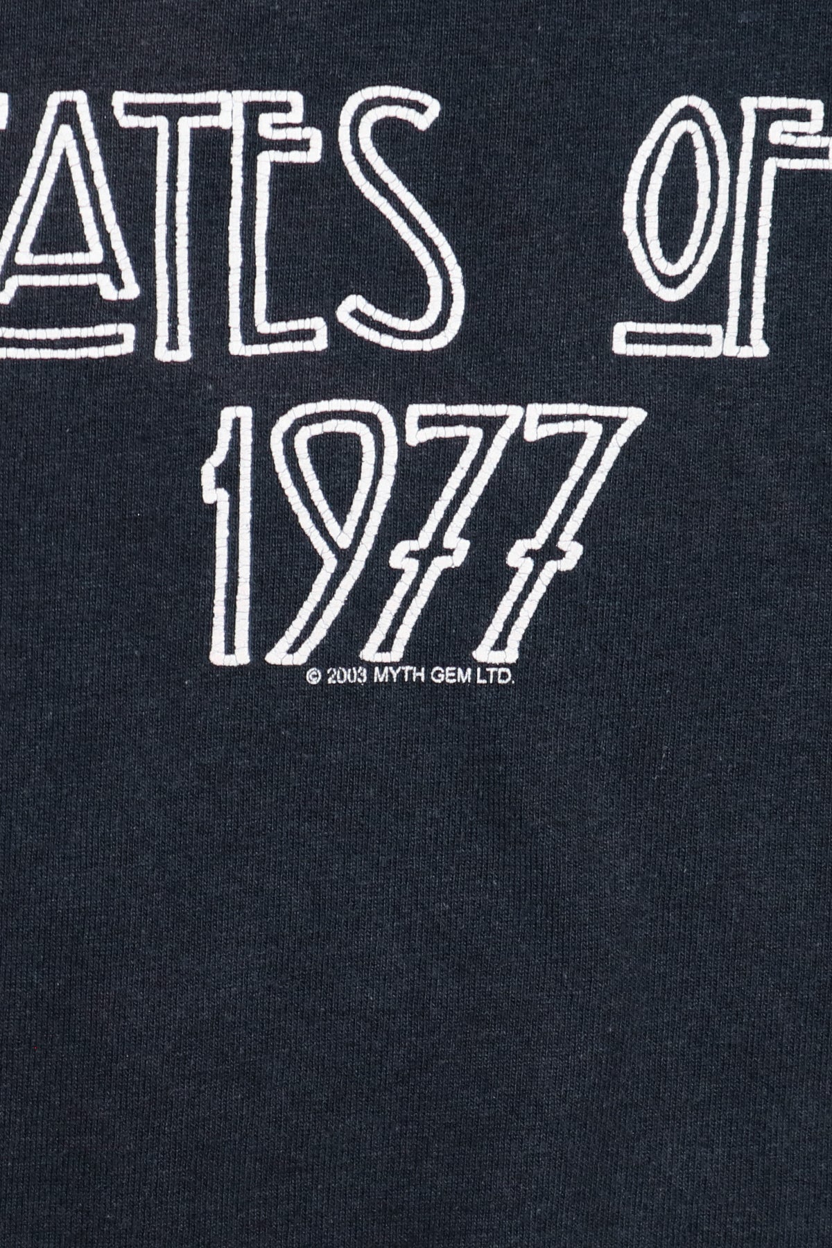 LED ZEPPELIN / UNITED STATES OF AMERICA TOUR 1977 TEE SHIRTS（00s）