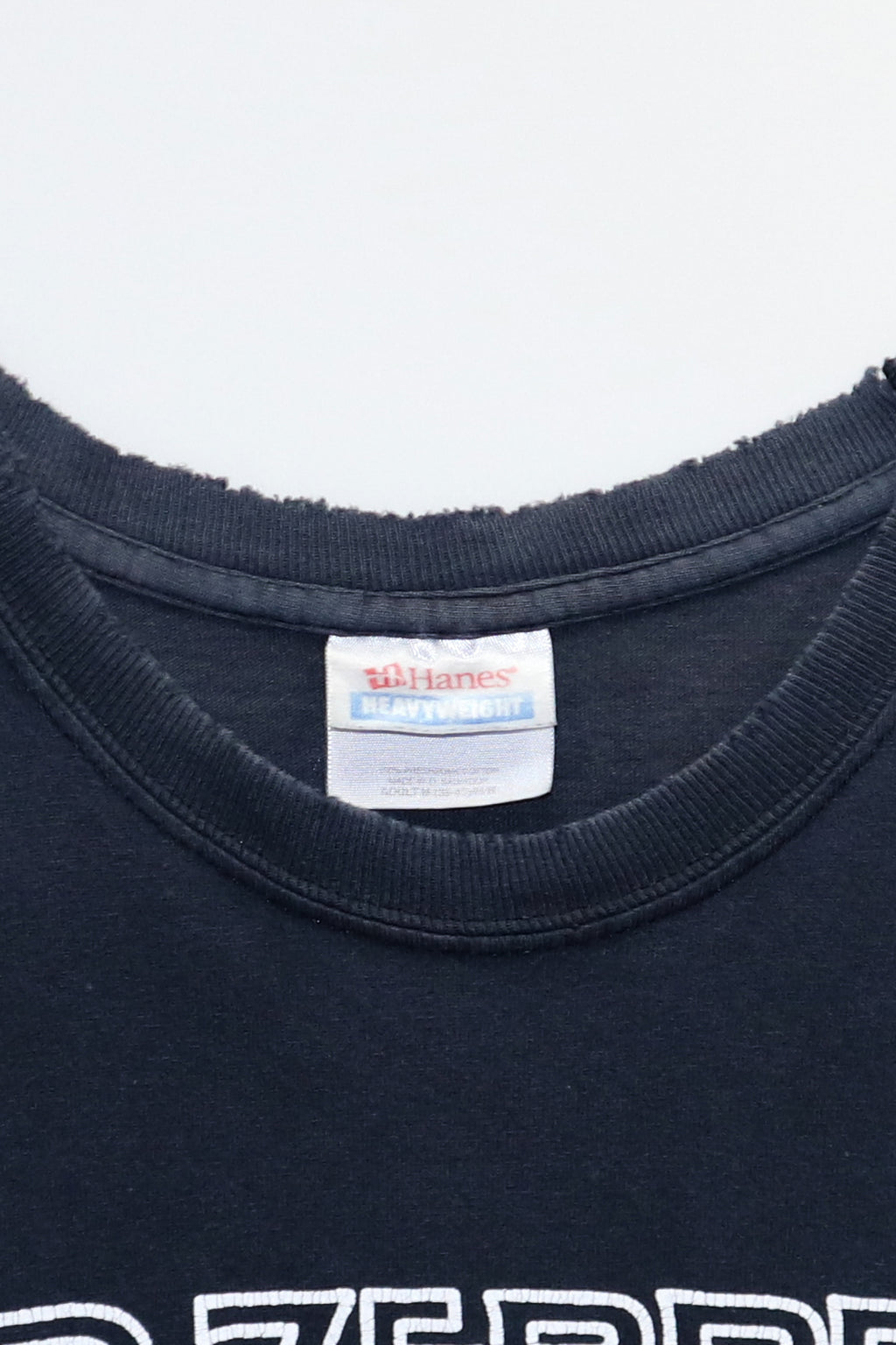 LED ZEPPELIN / UNITED STATES OF AMERICA TOUR 1977 TEE SHIRTS（00s）